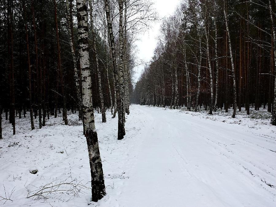 Rowerostrada do Bącznika