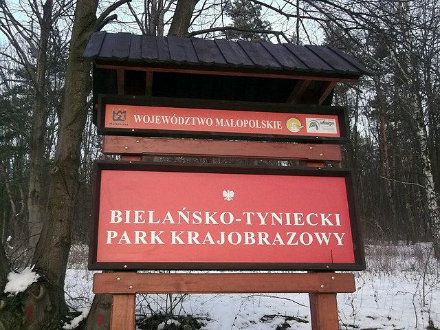 Tyniec