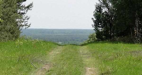 Górka w Serpelicach