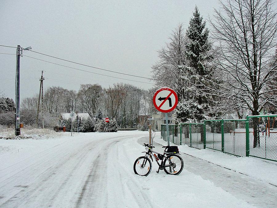 Zimowy wypad za miasto - okolice Tczewa