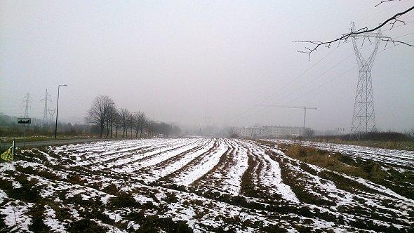 Pola koło Lublina