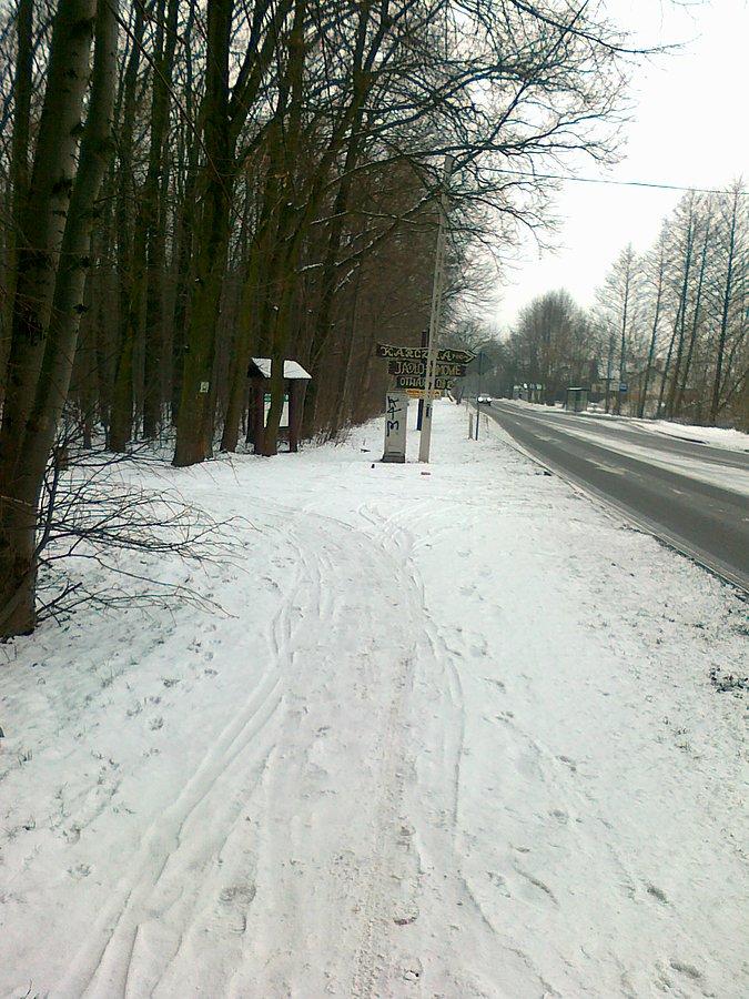 Dalej przez las, czy jezdnią? Wybrałam jezdnię