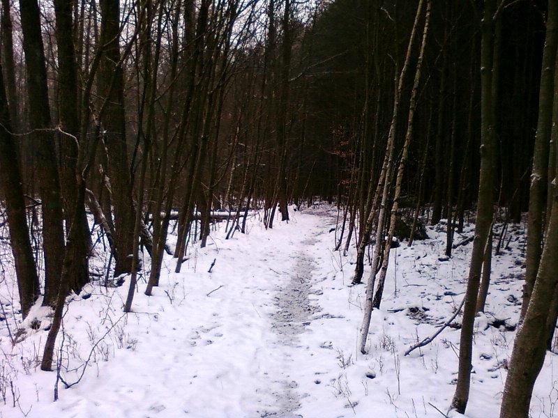 Okolice rezerwatu Grądy nad Lindą