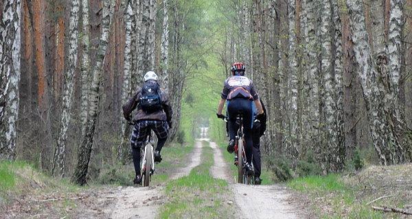 Leśny szlak roweroy z Wólki Plebańskiej w stronę Czosnówki