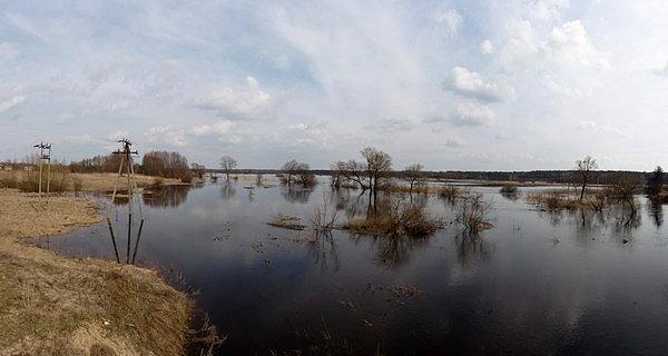 Na rzece Krzna poziom wody układa się powyżej stanu alarmowego