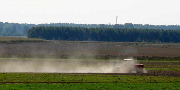 Prace polowe. Widok z budki myśliwskiej