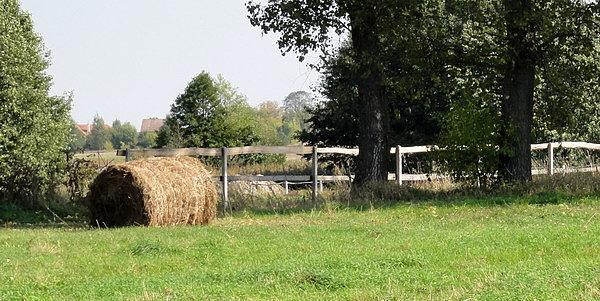 Tą samą trasą co wczoraj, tyle że w odwrotnym kierunku.. i dokładniej