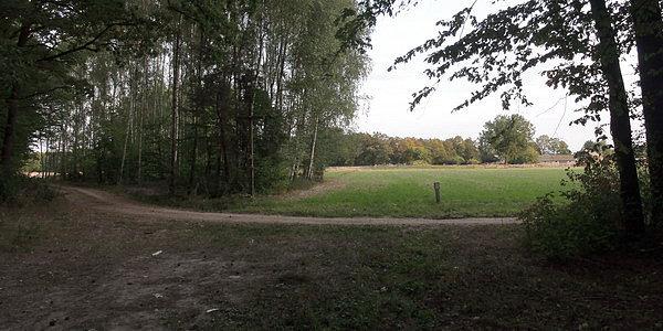 Leśnictwo Szadek - tutaj mnie jeszcze nie było