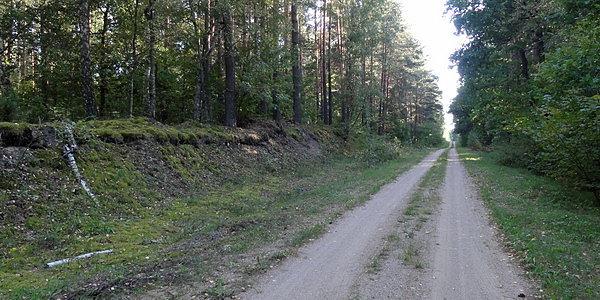 Puszcza Mielnicka
