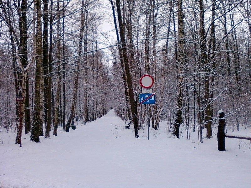Wjazd do Lasu Łagiewnickiego