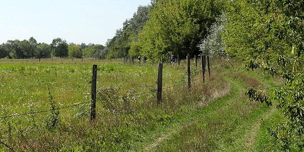 Wzdłuż rzeki Bug - granicy państwa