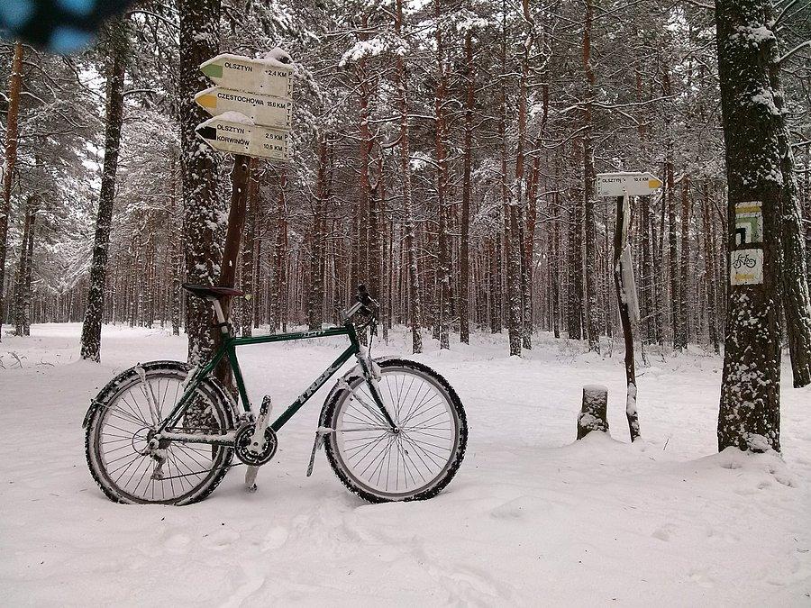 Lodołamacz
