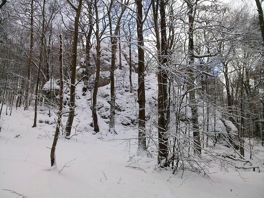 Sokole zimą