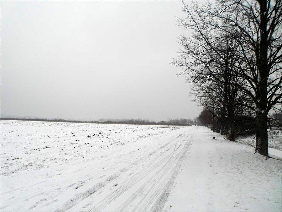 Droga Powsin - Wilanów