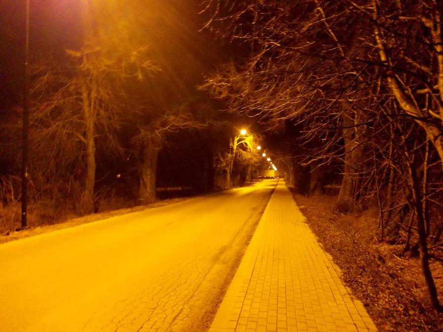 Aleja Lipowa nocą