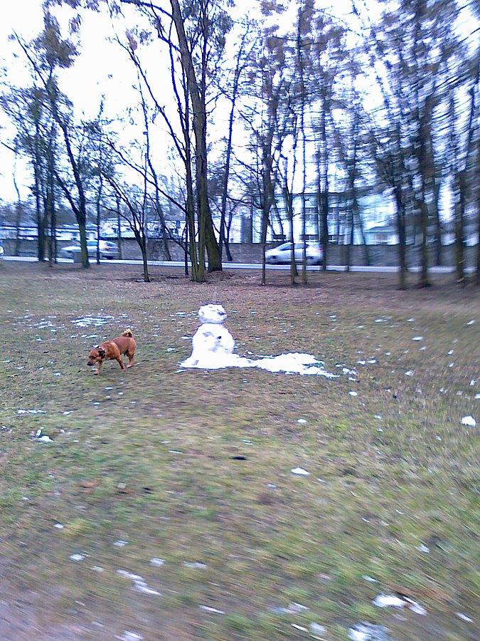 Ten bałwan jest w gorsazym stanie