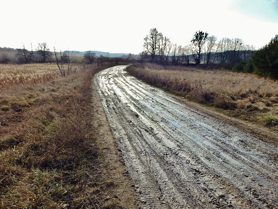 Wypad za miasto. Okolice Tczewa. Robi się błotko