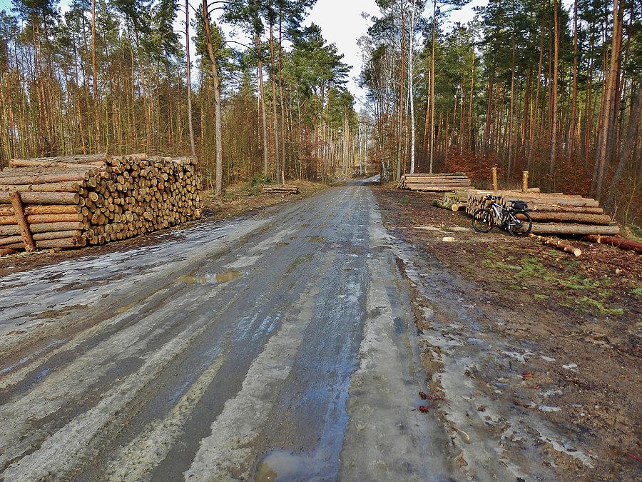 Wypad za miasto. Okolice Tczewa. Robi się błotko