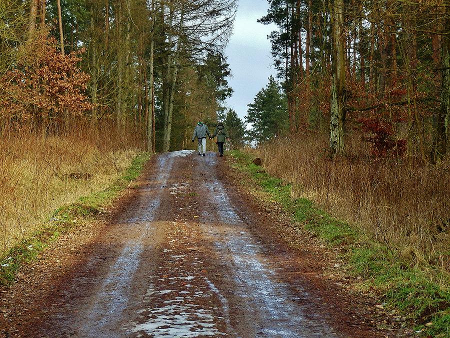 Wypad za miasto. Okolice Tczewa. Miły widoczek