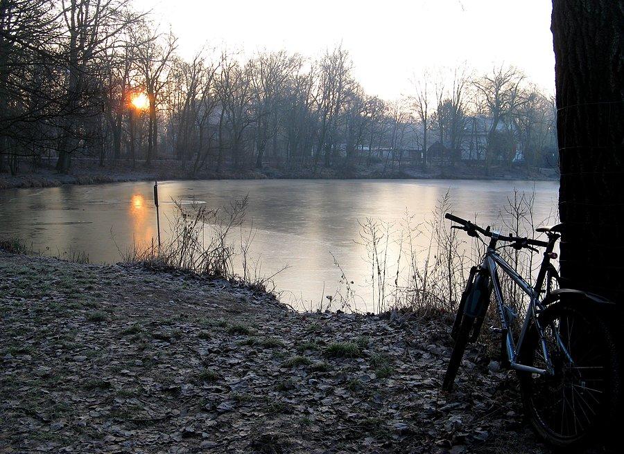 Poranek na Dębinie