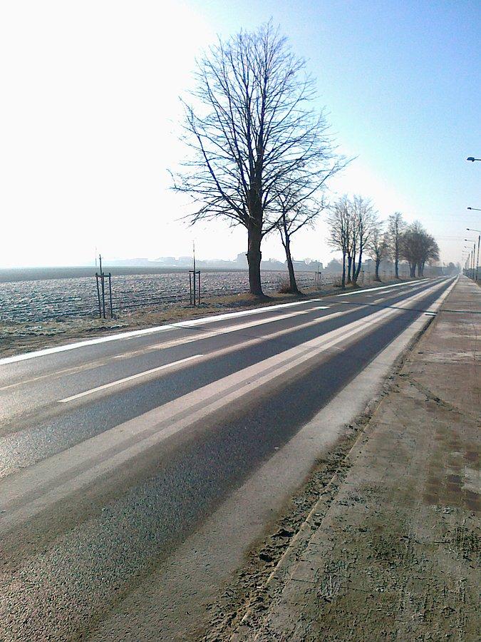 Rano jezdnie były białe, widać tylko ślady samochodów. W nocy był lekki mróz