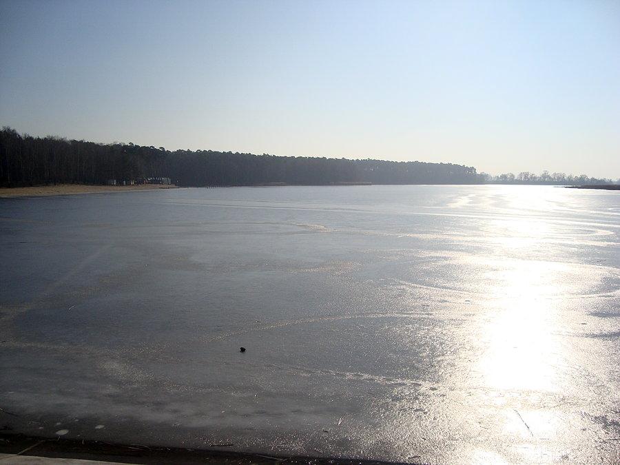 Jezioro w Gołuchowie