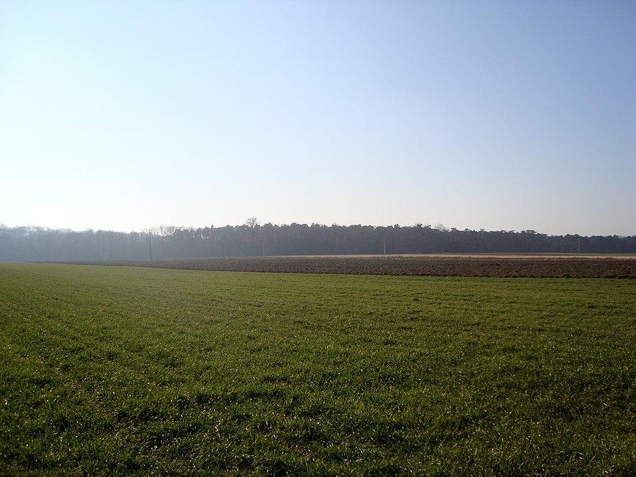 Widok w Tursku