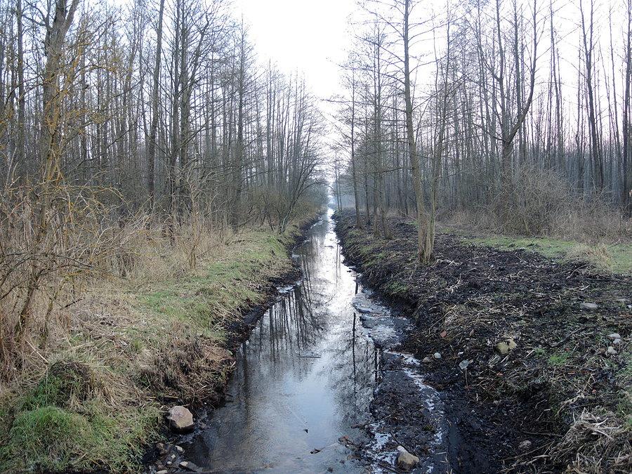 Kanał nad Notecią