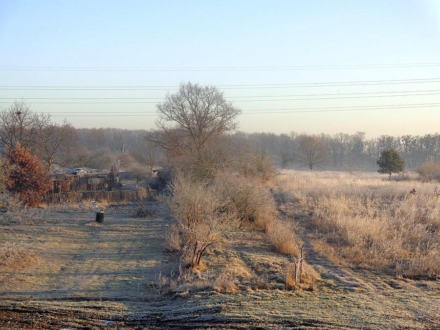 Szron nad Odrą
