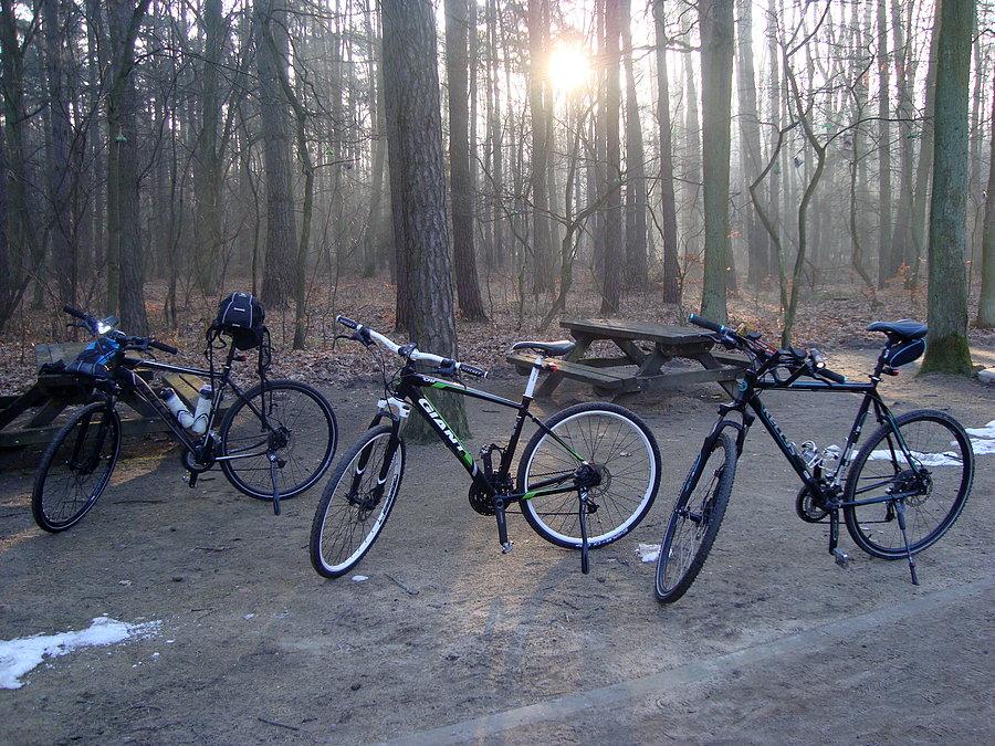 Rowerki przy zagrodzie żubrów