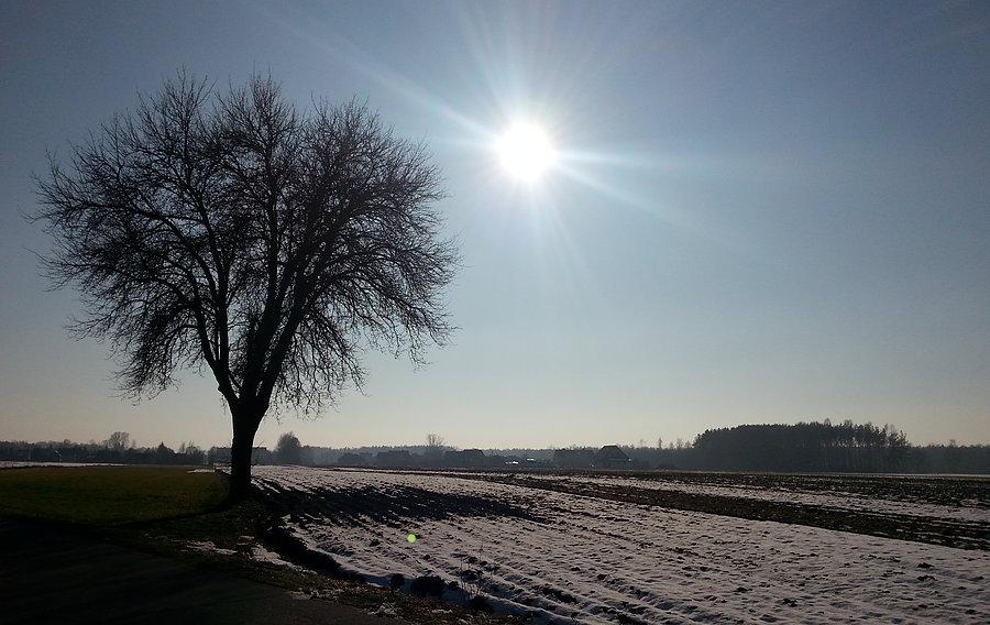 Słoneczny dzień