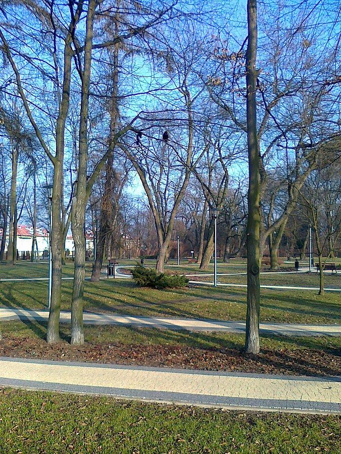 Skwerek przy Poznańskiej