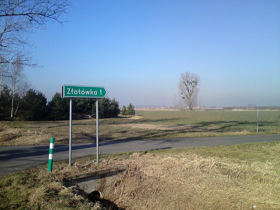 Złotóweczka
