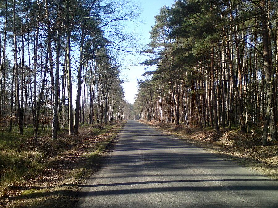Stobrawski PK, Śmiechowice - Kurznie