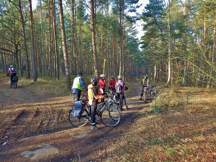 Rezerwat przyrody - Mewia Łacha. Wyspa Sobieszewska