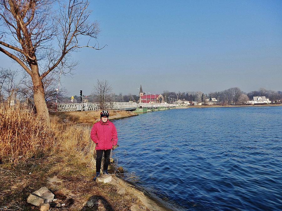 Rezerwat przyrody - Mewia Łacha. W oddali Wyspa Sobieszewska