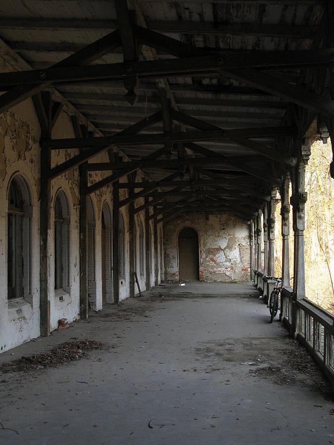 Kasyno