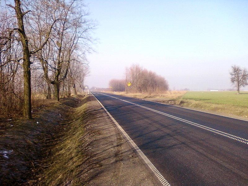 Szosa Stryków - Brzeziny