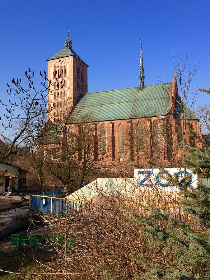 Jedyne ZOO na Warmii Braniewo