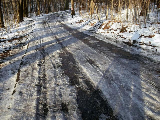 Śnieg/lód w lesie