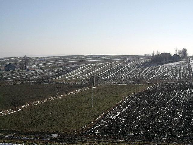 Resztki śniegu na polach