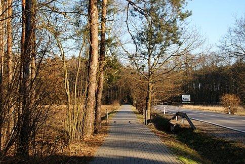 Słoneczna sobotnia ścieżka do Spały