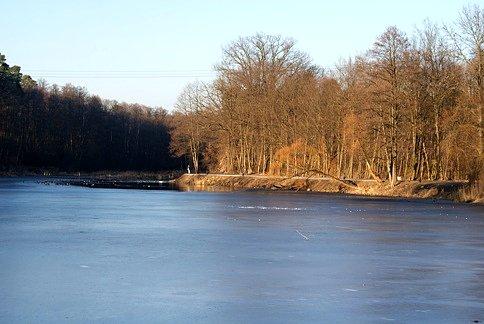 Spała - staw nad Gacią z widokiem na słoneczny deptak