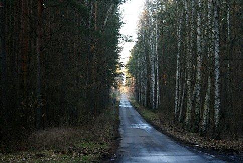 Tzw. "Gierkówka" wzdłuż Gaci