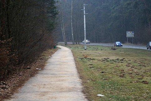 DDR w stronę Nagórzyc, obok kretowisko