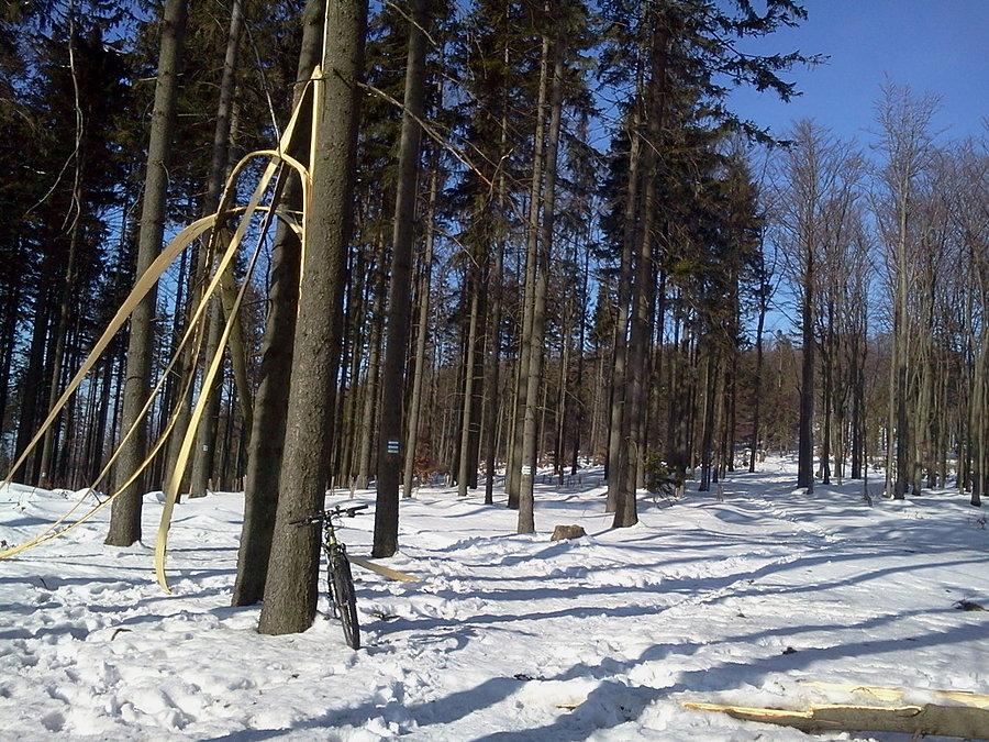 Na garbie Równicy ok 830 m