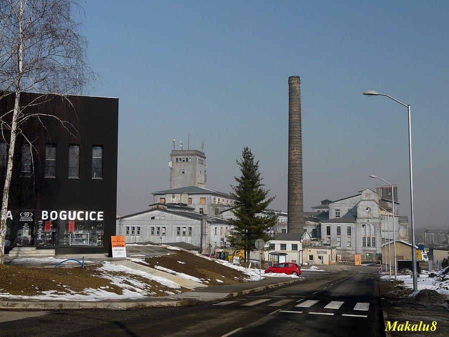 Porcelana Śląska-Bogucice