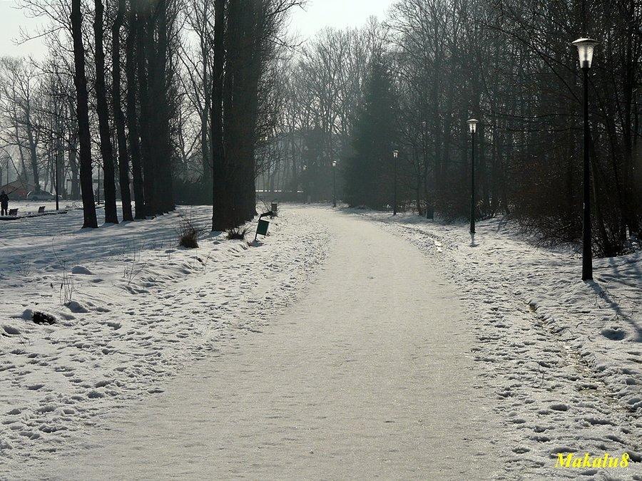 Zima w Parku Śląskim