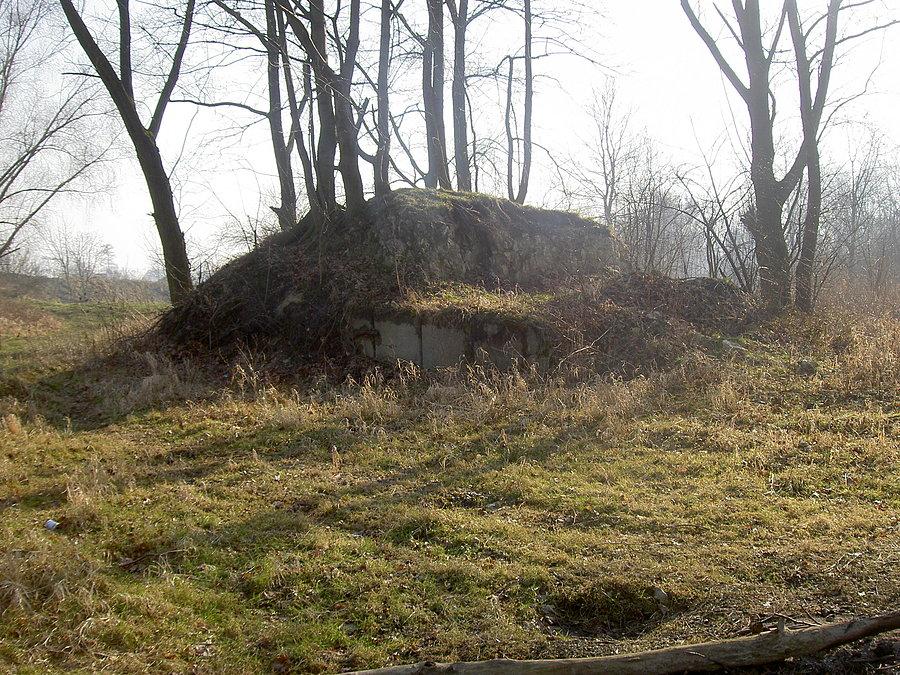 Ruiny starego mostu na osobłodze w Krapkowicach