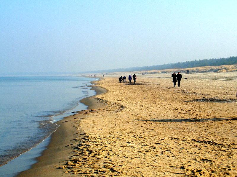 Plaża -Wyspa Sobieszewska